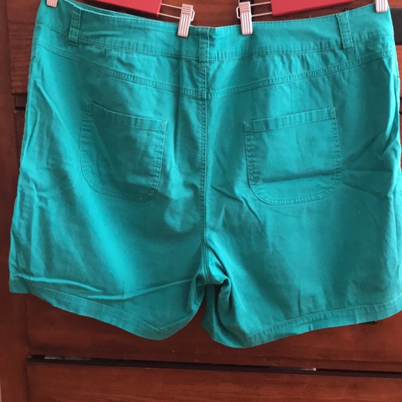 Lane Bryant Teal Cotton Shorts, Size 24, 90s Style - Picture 3 of 7